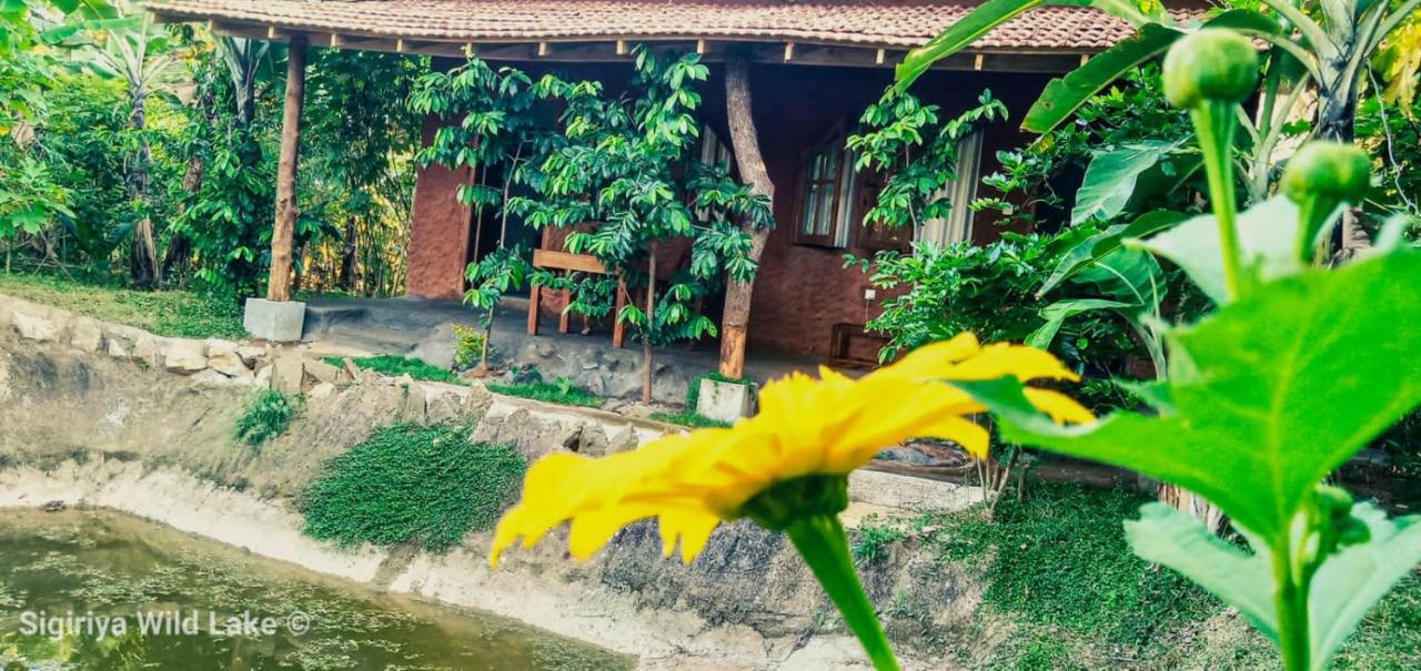 Sigiri Wild Lake Dambulla Exterior photo