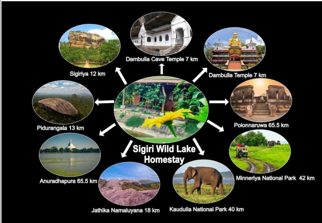 Sigiri Wild Lake Dambulla Exterior photo
