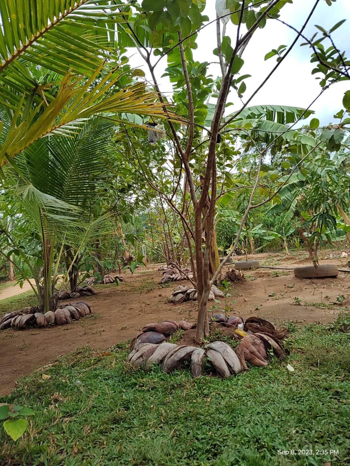 Sigiri Wild Lake Dambulla Exterior photo